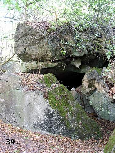 Hitlers Headquarters 'FHQu Felsennest'