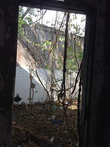 Cold War relic in Thailand; The Ramasun Elephant Cage