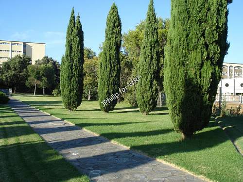 Deutscher Soldatenfriedhof - Korsika