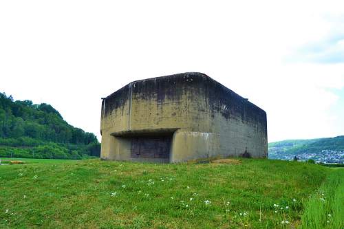 Switzerland`s world war two defenses