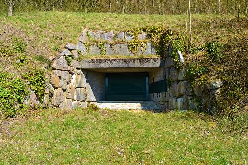 Switzerland`s world war two defenses