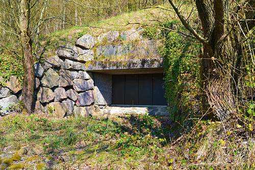 Switzerland`s world war two defenses