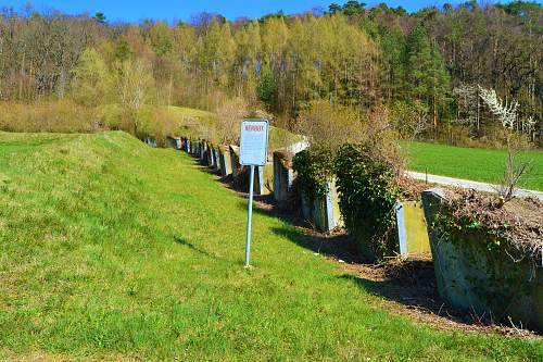 Switzerland`s world war two defenses