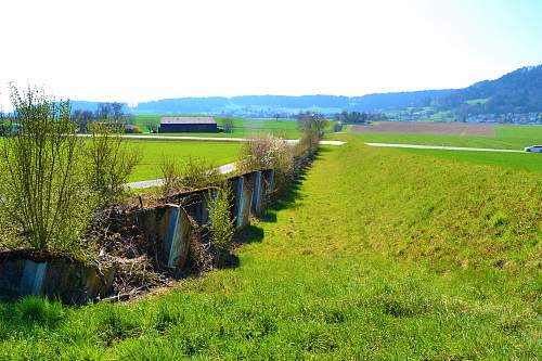 Switzerland`s world war two defenses