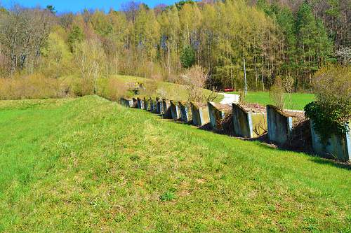 Switzerland`s world war two defenses