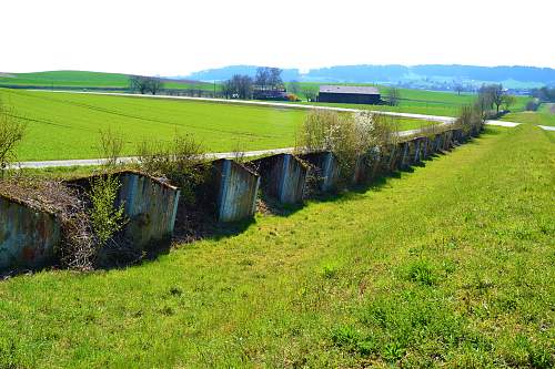 Switzerland`s world war two defenses