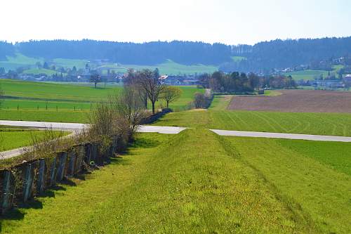 Switzerland`s world war two defenses