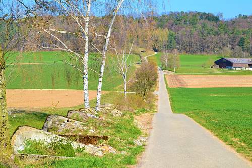 Switzerland`s world war two defenses