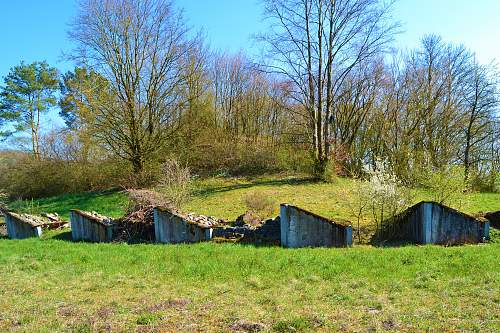 Switzerland`s world war two defenses