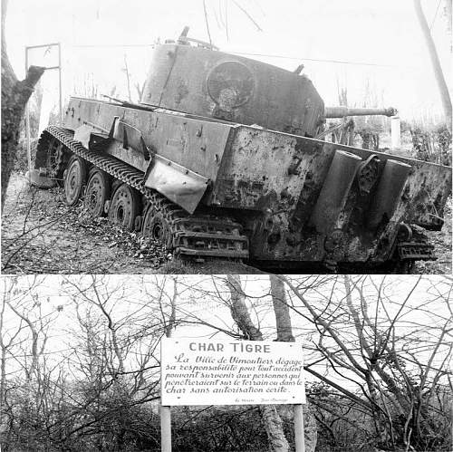 The Vimoutiers Tiger - a history