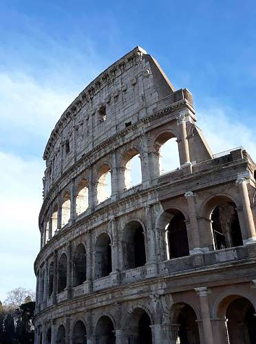 Sword and Sand - A Study of Ancient Roman Gladiator Sites and Artefacts