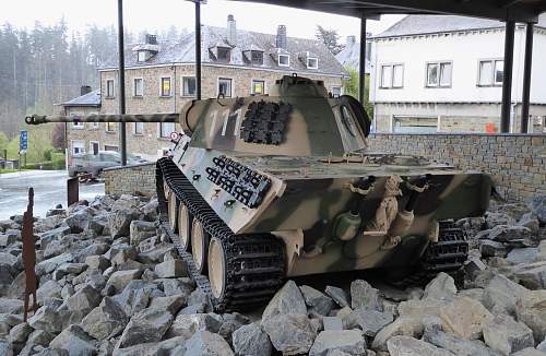 ( Houffalize ) Panther In The Snow......