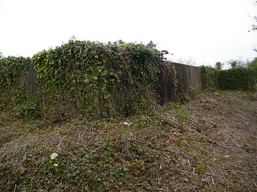 AA and Coastal Defence battery at Lavernock Point, S. Wales