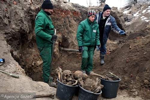 Mass Grave found: Malbork, Poland