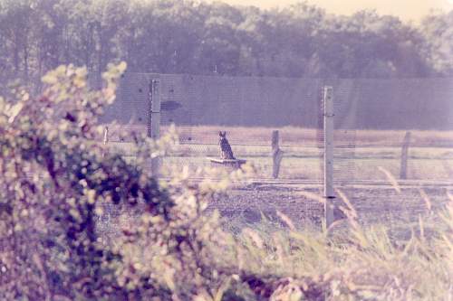 Inner German border 1985