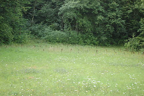 Another forteresse from the Maginot Line in France &quot; Fort Hackenberg &quot;