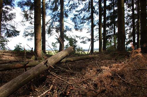 trip to Bastogne ( battle of the Bulge ) - Belgium