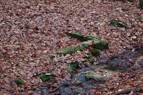 Wolfsschlucht 1 Hitler&quot;s headquarters in Bruly-de-Pesche in Belgium