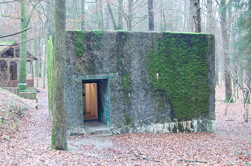 Wolfsschlucht 1 Hitler&quot;s headquarters in Bruly-de-Pesche in Belgium