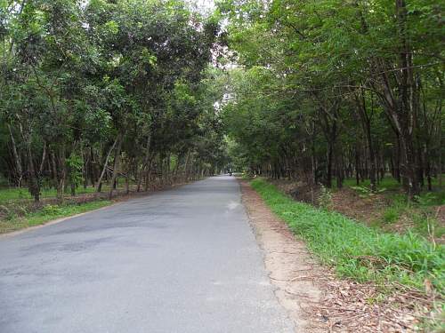 Museum : Viet Nam War Remnants Museum