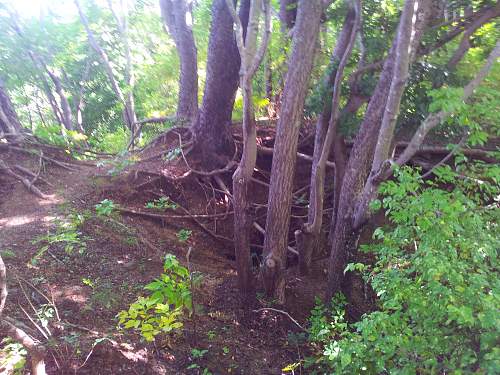 Japanese Patrol boat wreck and naval gun mounted caves on Gilli T , Indonesia