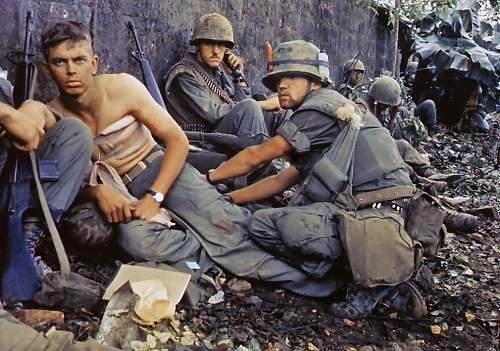 Iconic Images of the Vietnam war