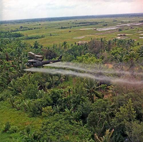 Iconic Images of the Vietnam war