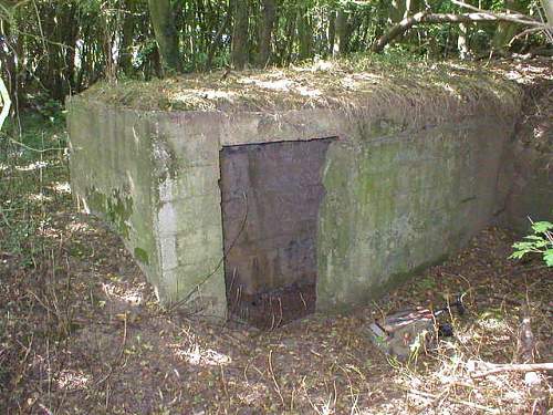 kreigsmarine bunkers with drawings on walls