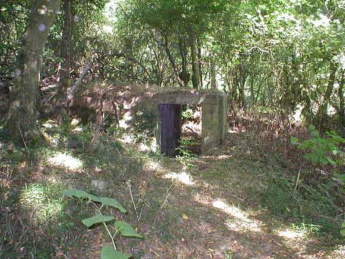 kreigsmarine bunkers with drawings on walls