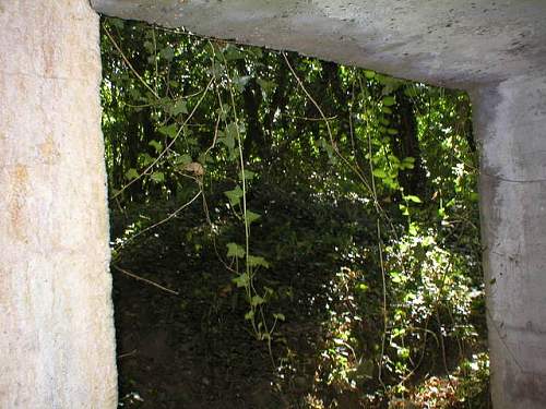 kreigsmarine bunkers with drawings on walls