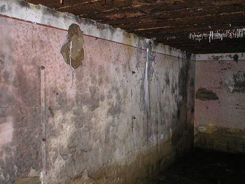 kreigsmarine bunkers with drawings on walls