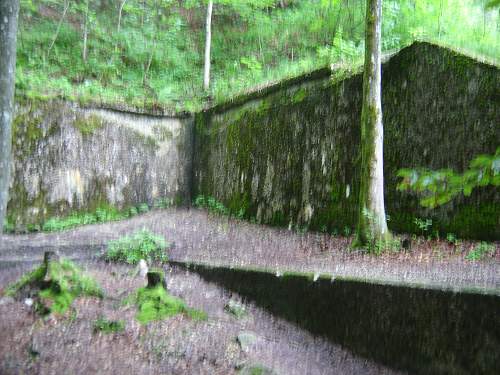 Zum Türken and Berghof