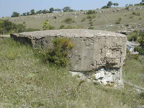 An Untouched &#1044;&#1054;&#1058; - Sevastopol