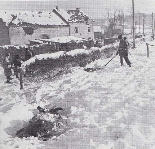 Now &amp; Then.. Ardennes Iconic Image Journey..