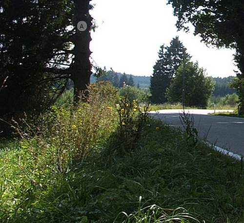 Now &amp; Then.. Ardennes Iconic Image Journey..