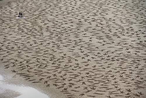 9,000 Fallen Soldiers Carved into the Sand of Normandy Beach to Commemorate World Peace Day