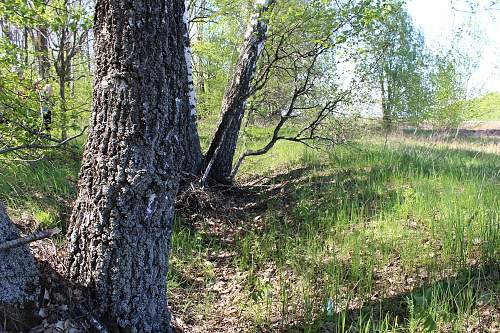 Kursk; Northern shoulder and Rokossovskys command post.