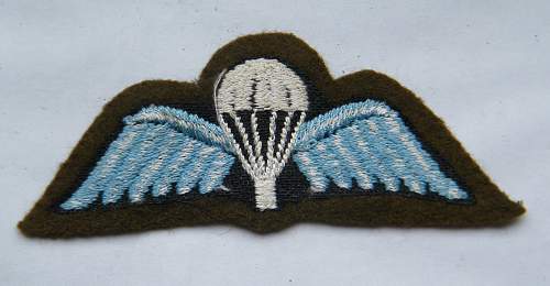 Parachute wings ww2?