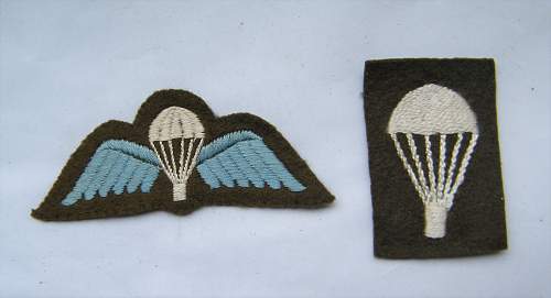 Parachute wings ww2?