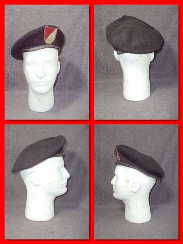 17th Cavalry Beret 1st Squadron?