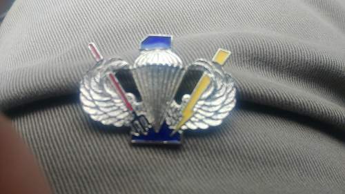 Paratrooper wings