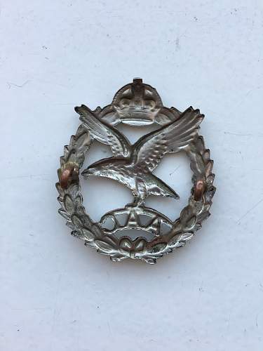 Your opinions on this AAC cap badge please