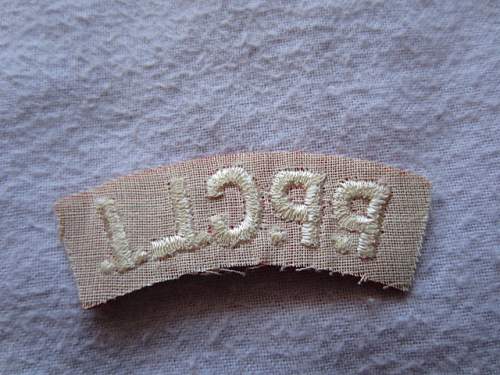 Unknown patch found in a box with Canadian parachute insignia