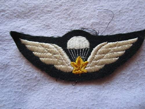 Unknown patch found in a box with Canadian parachute insignia