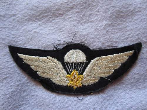 Unknown patch found in a box with Canadian parachute insignia