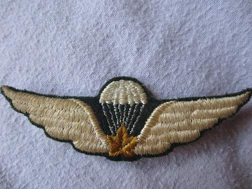 Unknown patch found in a box with Canadian parachute insignia