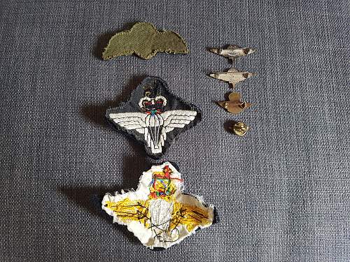 Post-War Para Beret and Insignia