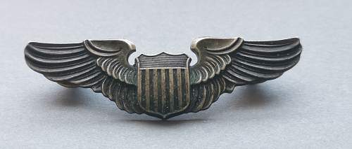 Two US air force badges