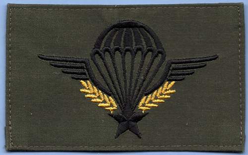 Modern French and Italian Army Parachute Wings-cloth