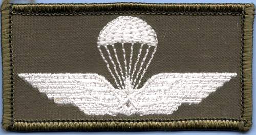 Modern French and Italian Army Parachute Wings-cloth